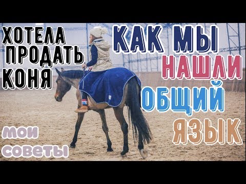 Видео: доверие между всадником и лошадью/как добиться?❤️🐴