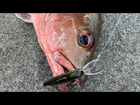 Видео: Валеты срабатывают.