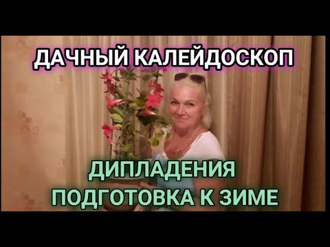 Видео: ДИПЛАДЕНИЯ УХОД, ПЕРЕСАДКА, ПОДГОТОВКА К ЗИМЕ