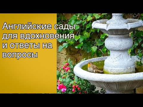 Видео: Vlog 470 - Английские сады для вдохновения и ответы на вопросы