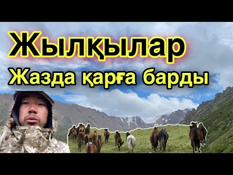 Видео: МҰЗДЫҚҚА ЖЫЛҚЫ АЙДАДЫМ! Жаздық жайылым жағдайы.
