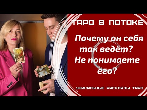 Видео: Почему он себя так ведёт? Не понимаете его? Давайте разбираться.