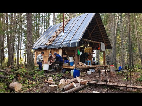 Видео: БРАКОНЬЕРЫ!!! КРИЧАЛИ ИМ, НО РЫБАЛКА НА СЕТИ ЗДЕСЬ РАЗРЕШЕНА \ БОЛЬШОЙ УЛОВ \ ИЗБА ОБЛАГОРАЖИВАЕТСЯ