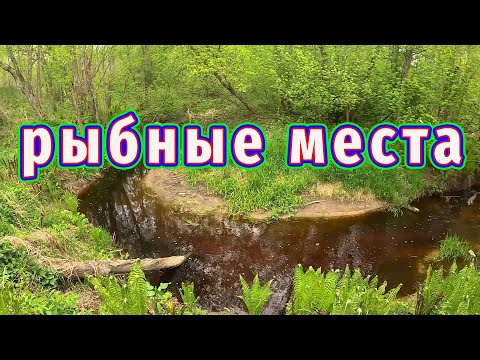 Видео: Рыбалка на мощной реке — неожиданный улов!