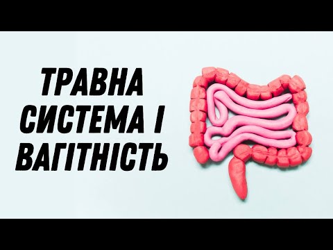 Видео: Травна система і вагітність #doctorberezovska #olenaberezovska #вагітність