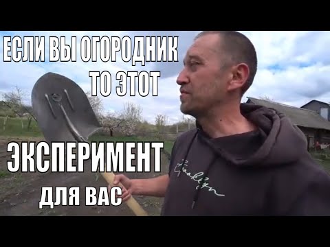 Видео: Этот эксперимент повергнет огородников в ШОК!!!