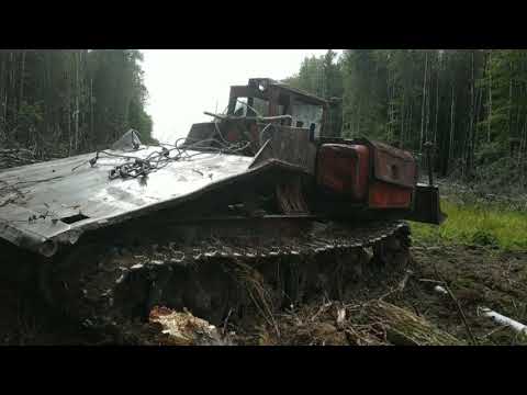Видео: Уборка леса после расширения ЛЭП ,с использованием ТДТ 55