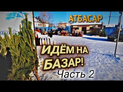 Видео: Идём на БАЗАР. Часть 2. Серёжка Понемножку.