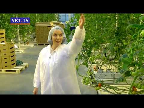 Видео: Экскурсия по агрокомплексу "Иванисово"