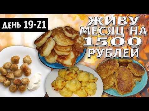 Видео: Выживаю месяц на 1500 рублей. Осень 2024 год. День 19-21.