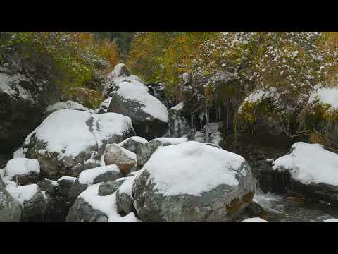 Видео: Осеннее снежное утро на реке 4К