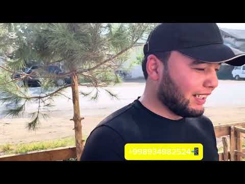 Видео: 😱😱500 минг дан арзон нархда бугун нарх кулади 