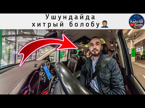 Видео: ОКЕЛЕРДА ЖАМАН ХИТРЫЙ БОЛУП КАЛДЫ‼️
