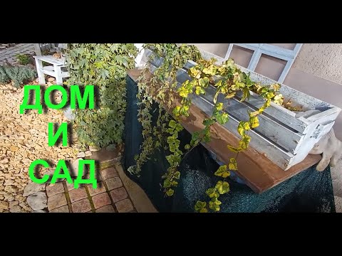 Видео: Наши будни - САД, печенье, шашлыки.