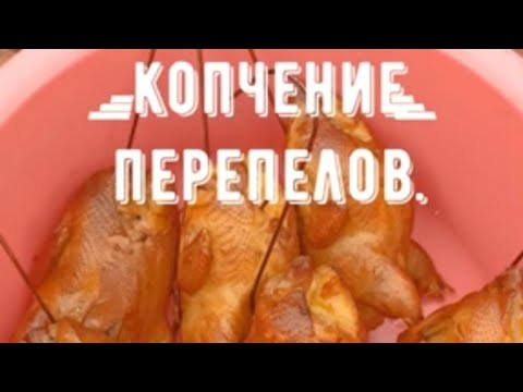 Видео: Перепелки горячим копчением