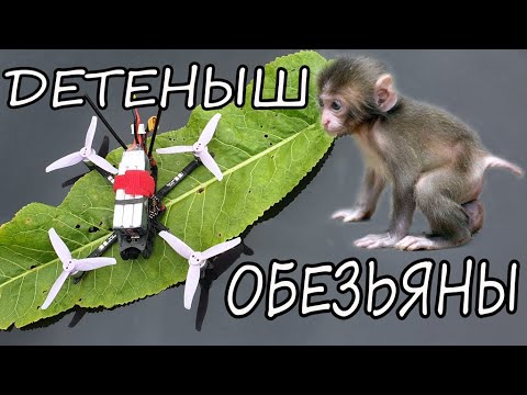 Видео: DarwinFPV Baby Ape  PRO - честный обзор!