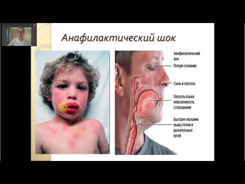 Видео: 6 сабақ патология