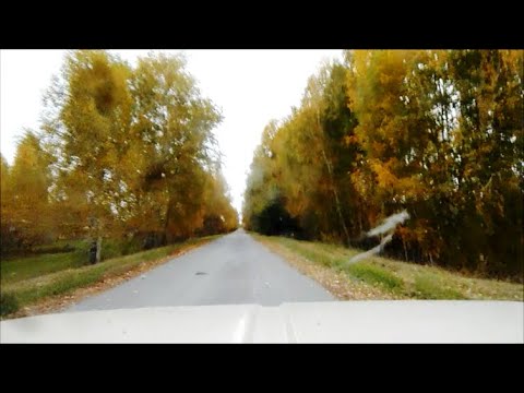 Видео: Дорога от п..Радостного до с.Крутихи.