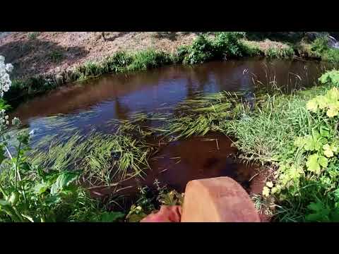 Видео: Поисковый магнит в Санкт Петербурге на Харлее