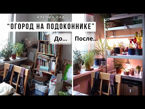 Видео: Как сделать огород на подоконнике / Какие растения взять домой / Организация пространства