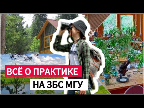 Видео: Полевая практика после 1 курса биофака на ЗБС МГУ