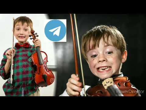 Видео: 310. Скрипка на 12 часов