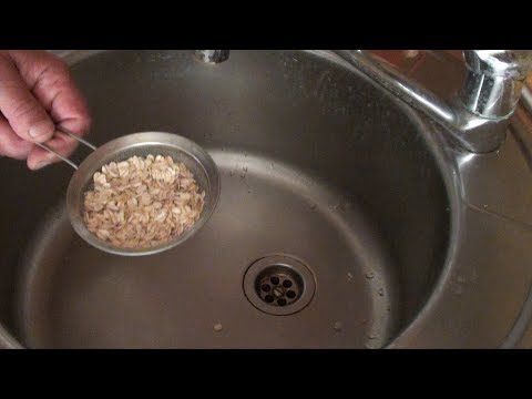 Видео: Лучшая насадка для карася!!!