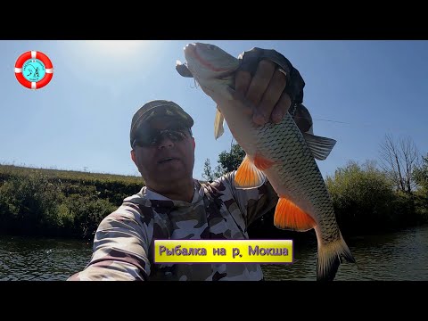 Видео: Ловля голавля на р.Мокша/СЕНТЯБРЬ/МОРДОВИЯ