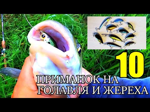 Видео: Топовые воблеры на голавля и жереха! 10 новых приманок в коробке сезона 2020!