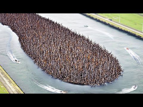 Видео: Индонезия Перестала Чистить Канализации и То, Что Произошло Спустя Пару Лет Шокировало Мир