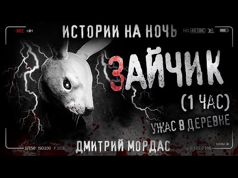 Видео: Страшные истории на ночь - ЗАЙЧИК.Страшилки на ночь . Scary stories