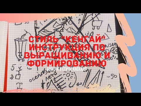 Видео: Стили бонсай.  Как вырастить бонсай в стиле Кенгай (Kengai) - стиль водопада. Отличия от полукаскада