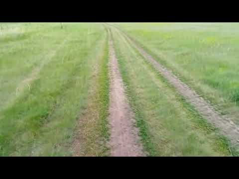 Видео: 24 мая 2025 г.