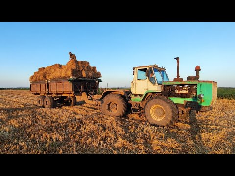 Видео: Тюкуємо солому❌ЮМЗ-6 з пресом працює👍Т-150К возить💪
