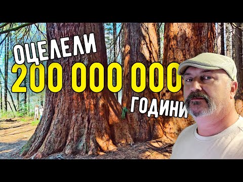 Видео: Мърводол, Невестино, Ючбунар... тези места ще те изненадат!
