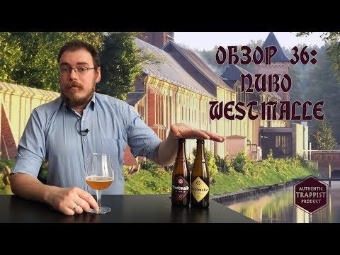 Видео: ОБЗОР №36: Пиво Westmalle (Бельгия)