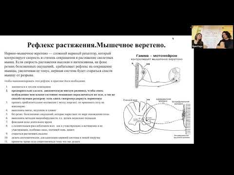 Видео: Рефлекс Гольджи. Реципрокное торможение. Как тренировать. 20251108