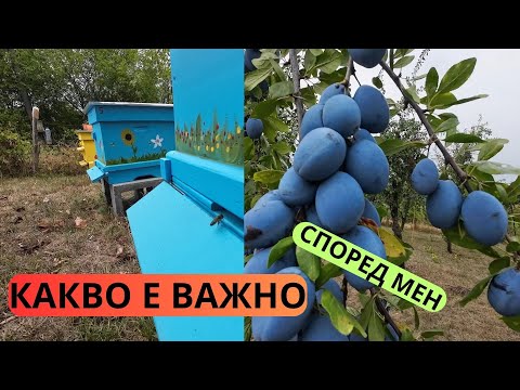 Видео: КАКВО Е ВАЖНО СПОРЕД МЕН