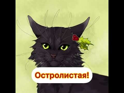 Видео: /ТЕСТ: угадай кота-воителя по эмодзи/мини-тестик