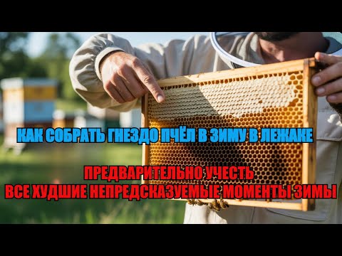 Видео: Как СОБРАТЬ ПЧЁЛ В ЗИМУ СЛОЖИТЬ ПРАВИЛЬНО ГНЕЗДО В ЛЕЖАКЕ и ПРЕДВИДЕТЬ СЛОЖНОСТИ ЗИМЫ ✅☝️🐝