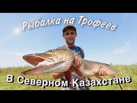 Видео: Рыбалка на Сергеевском Водохранилище и озере Уялы Выезд с ночевой! Трофей взят!