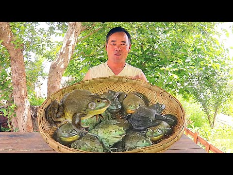 Видео: БУЛЬФРОГ! Удивительное приготовление в большой кастрюле, лучшая еда, которая сочетается с вином