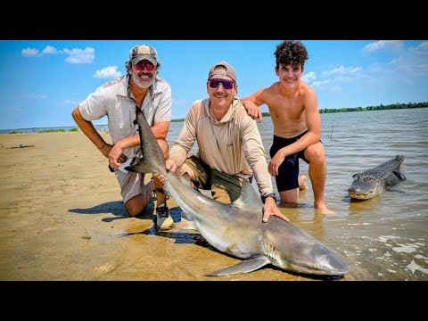 Видео: Высшие хищники доминируют в этой дикой реке! Акулы-быки и аллигаторы!