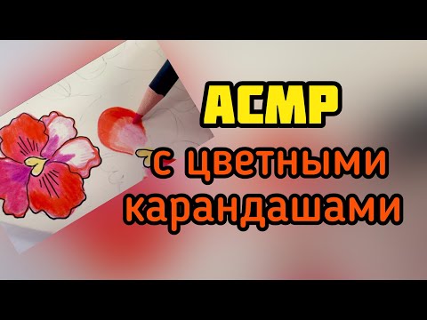 Видео: АСМР для спокойного сна: карандаши #asmr  #lenahappy #асмр