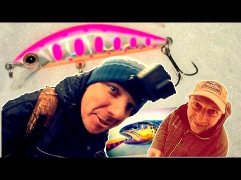Видео: Форель зимой. Воблер для ловли форели. Как поймать форель