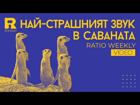 Видео: Ratio Weekly: Най-страшният звук в саваната