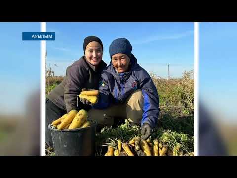 Видео: АУЫЛЫМ: Талдыкөл ауылы