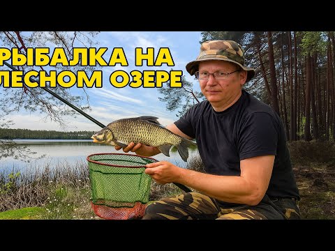 Видео: Рыбалка на торфяном болоте, рыбы тут так много, что не смог... На лесном озере. Проверка мерёжи.