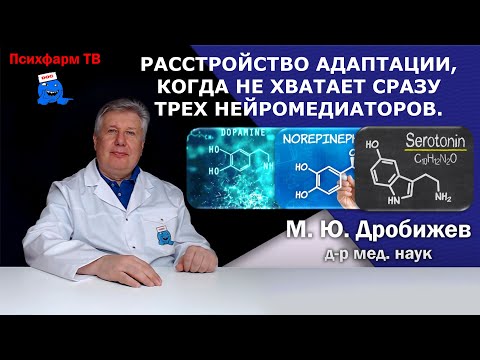 Видео: Расстройство адаптации, когда не хватает сразу трех нейромедиаторов.