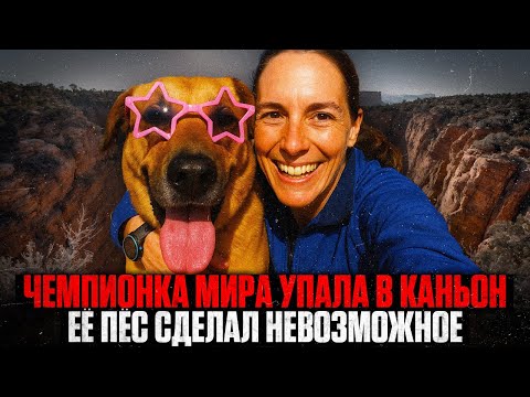 Видео: Туристка СВАЛИЛАСЬ в КАНЬОН СМЕРТИ: Как собака удивила ВЕСЬ МИР, совершив НЕВОЗМОЖНОЕ?